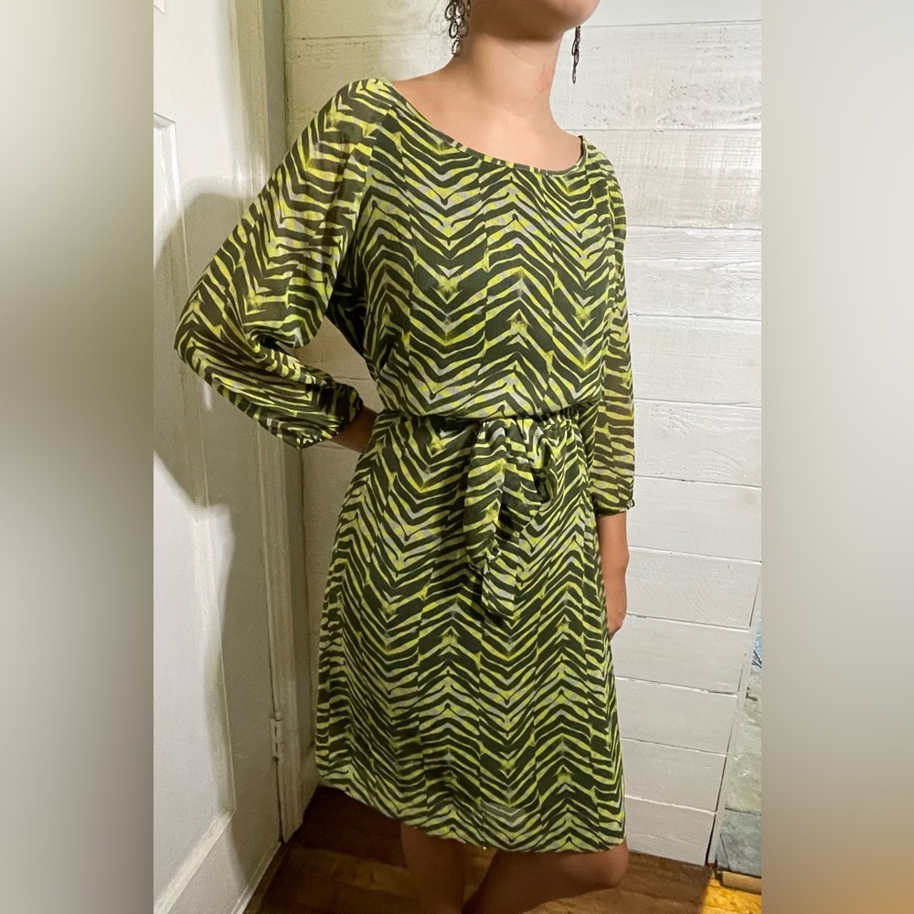 BR zebra multi color dress